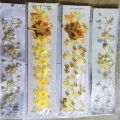 Fancy Wedding Bridal Hair Comb Jewelry Flower Crystal Tiaras & Hair Accessories. 