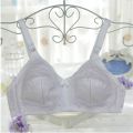 Flourish Citin Non-Padded Non-Wired Full Cover Minimizer Bra Plus Size. 