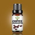 Herbology Coffee Fragrance Oil 10 ML - Candle Making Scent - Handmade Soap - Home Diffuser Aromatherapy Oil. 