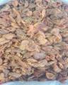 Dry Khubani (sookhi khubani) - 1000gm. 
