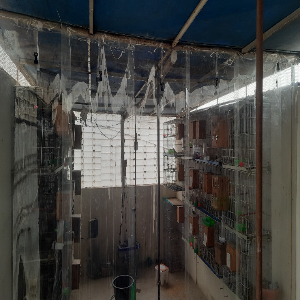 PVC%20Plastic%20Strip%20Curtains%20for%20A.C%20Cooling/%20Dust%20protection%20-%20Image%203