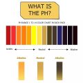 pH Meter and Litmus Paper Strips for Accurate Testing. 