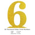 3D Numbers Glitter Finish (Golden) Number 6. 