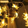 PACKIFY 20 Moon LED Fairy Lights Battery Operated - Led Lights for Room Decoration - String Garland Light for mirror. 