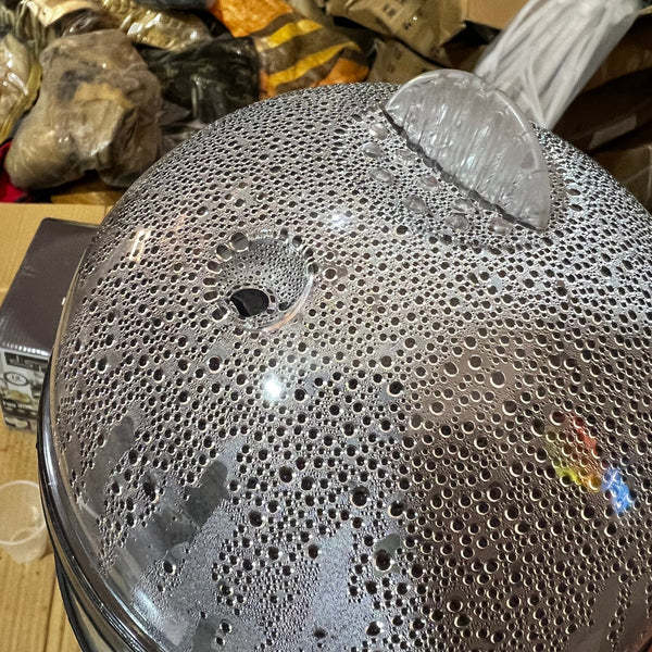 Lot%20Imported%20Eggs%20Boiler%20Original%20-%20Image%205