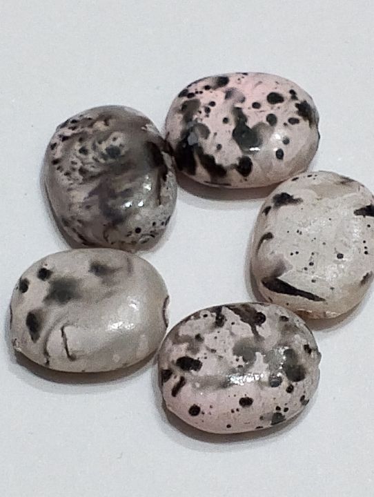 Pack%20of%2040gms%20Beads,%20Black%20White%20Oval%20Plastic%20Beads%20For%20DIY%20Jewelry%20Making,%20Jewelry,%20DIY,%20Dresses%20And%20Crafting%20Accessories.%20-%20Image%206