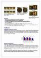 STP Engine FLush Both Petrol & Diesel Car - 450ml Made In U.K. 