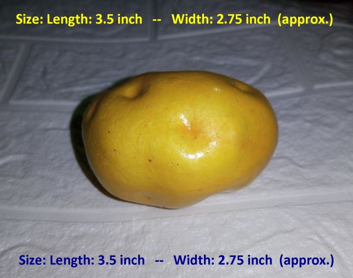 1 Piece - Styrofoam Simulated Vegetables & Fruits for Decoration (Thermacol Artificial Vegetable & Fruit)