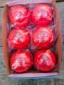 Test Match PINK cricket ball/Kookaburra  cricket Hard ball/Sewn Export Quality Pack of 6. 