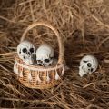 10Pcs Creativity Halloween Mini Skeleton Head Terrifying Table Decor Skull Heads Scary Props Halloween Decor Props Skulls Decoration for Halloween Party. 