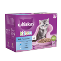 Whiskas Cat Kitten (2-12 Months) Wet Food, Fish Favorites In Jelly, 85gm Each Sachet. 