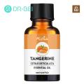 DR BEI Essential Oil Natural Ingredients Cypress Pine Needles Essential Oil. 