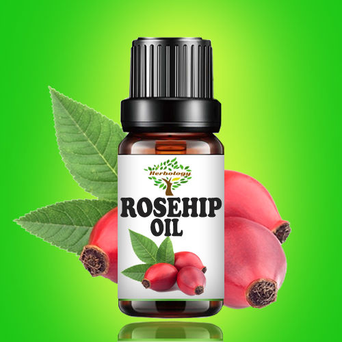 Rosehip Oil Natural And Organic And Pure Undiluted Cold Pressed