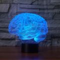 Human Brain Cerebellum Model 3D Night Lights 7 Colors Lamp C. 