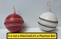 Hanging Practice Ball with and without elastic/rope Hangable Practice ball for Shots Practice Indoor Hangable Practice Ball to play cricket by your own | by Partners Collections. 