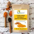 Curcumin Extract with Piperine Extract (Superior Turmeric, Black Pepper Extract) Immune & Joint Support, Maximum Absorption, 100 grams. 
