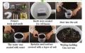 5 American Spruce Pine Tree Seeds. 