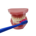 Dentist Recommendation For Adult Toothbrush Dental Clean Soft Bristle Interdental Tooth Brush Oral Hygiene Deep Cleaning. 