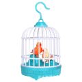 Cute Mini Bird Cage Toy with Moving Birds, Chirps, and Lights – VIP Color Edition. 