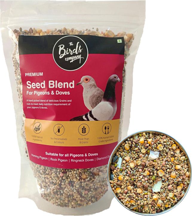 The Birds Company Premium Seed Blend of 8 Grains & Nuts, Fortified with Spirulina, Bird Food for Pigeons, 500 grams pack