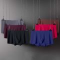 3D Spandex Luxury Men Boxers L-XXXL Underwear Shorts Seamless Antibacterial High Quality Popular 1PC Ice Silk Panties. 