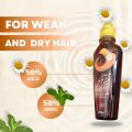 Ubqari Tib e Nabvi Herbal Hair Oil - Nine Leaves Oil for Hair Growth, Fall Control & Thickening. 