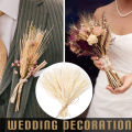 100 Stems Dried Wheat Stalks, Natural Dried Wheat Sheaves Fall Flower Arrangement Wheat Bouquet Bundle for DIY Home Table Wedding Xmas Decor. 