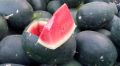 15+ Desi Watermelon / Tarbooz Seeds. 