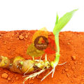 Turmeric Powder / Haldi Powder / Organic Turmeric Powder / Pure Haldi Powder 165g. 