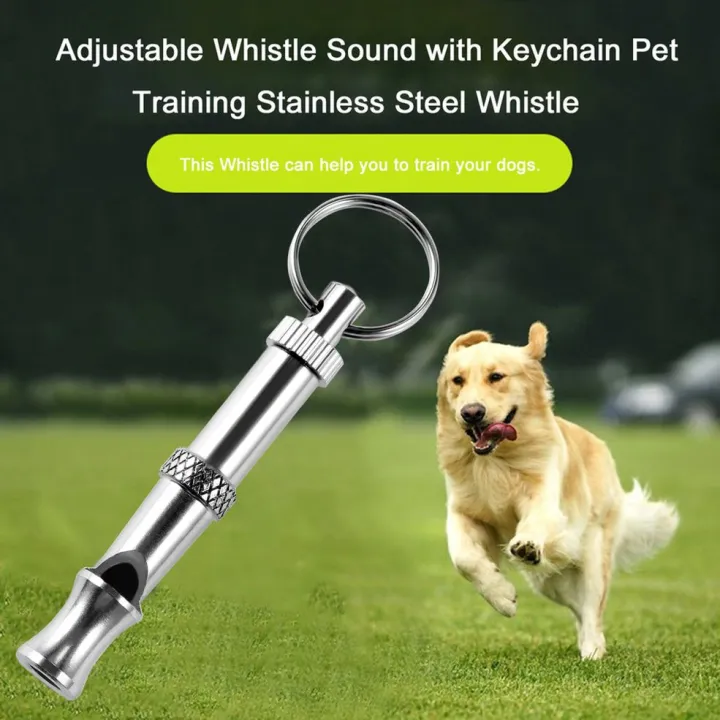 MA%20Adjustable%20Whistle%20Sound%20with%20Keychain%20Pet%20Training%20Stainless%20Steel%20Whistle%20-%20Image%207