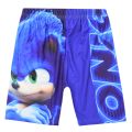 Cartoon Sonic The Hedgehog Costume for Kids Sonic T Shirt Shorts Suit Terno Boy Cap Hedgehog Birthday Halloween Party Cosplay. 
