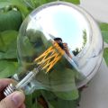 【Topnotch Store】GANRILAND LED Dimmable Bulb E12 Led Crown Silver Mirror Light Lamp 4W 8W Warm White 2700K G45 LED E26 E27 220V Bulbs. 