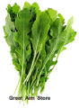 Arugula or Rocket Salad Seeds Herb Seeds Qty +100. 