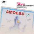 Structure and Classification Of Amoeba Wall Poster |  Unicellular Organism Amoeba Diagram Wall Chart | HD Picture presentation on 200-gram Card 20*30 inches. 