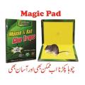 Mouse Killer Glue Best Quality & Rat Killer Glue Rat Trap Adhesive Sticky Glue Pad Catch Mouse & Rat Glue. 
