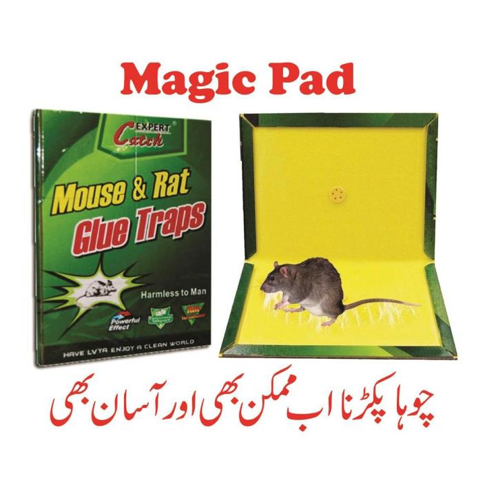 Mouse Killer Glue Best Quality & Rat Killer Glue Rat Trap Adhesive ...