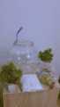 Fishes Tank Aquatic Aquarium Home Decorative Fish Bowls Table(Large Size). 