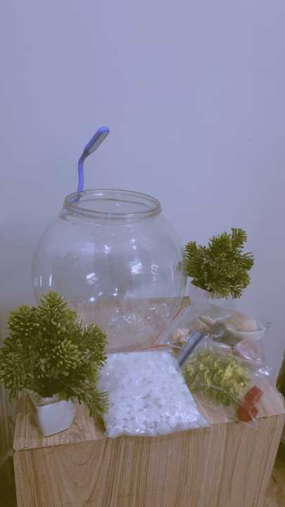 Fishes%20Tank%20Aquatic%20Aquarium%20Home%20Decorative%20Fish%20Bowls%20Table(Large%20Size)%20-%20Image%208