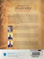 ESSENCE OF ANATOMY 3rd Edition. 