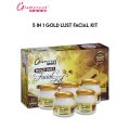 Glamorous Face Gold Lust Facial Kit 5 In 1 Glowing Repair Kit Polish The Skin , Removing Dead Cells , All Types Of Skin Cleanser , Massage , Scrub , Polish , Mask. 