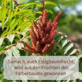 Sumac Spice, 100 g Sumak Spice Turkish, Oriental Sumac, Vinegar Tree Spice, Naturally Without Colourants and Additives, Hand Bottled in Germany. 