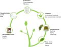 Organic Dried Stevia Leaves-50gm. 