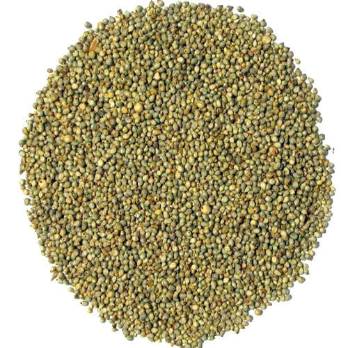 BAJRA SEEDS 500G
