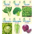 PACK OF 6 PACKET BROCCOLI, ICE BERG, PAK CHOI GREEN SALAD  RED CABBAGE, CHINESE CABBAGE BY HMS Product. 