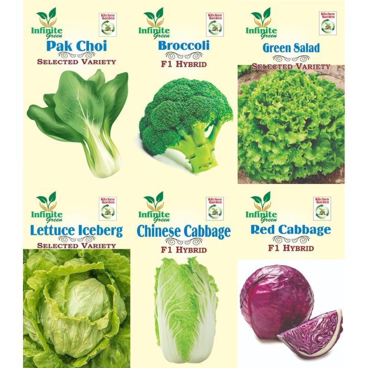 PACK OF 6 PACKET BROCCOLI, ICE BERG, PAK CHOI GREEN SALAD  RED CABBAGE, CHINESE CABBAGE BY HMS Product