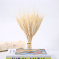 100 Stems Dried Wheat Stalks, Natural Dried Wheat Sheaves Fall Flower Arrangement Wheat Bouquet Bundle for DIY Home Table Wedding Xmas Decor. 