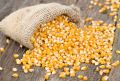 Pop corn Kernels Imported 125g (Premium). 