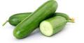 Cucumber seeds F1 (kheera) (vegetable seeds) BEST GARDENING SHOP -BY HK DEALER. 