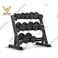 Gym Equipment Hex Dumbbell Racks (ambala fitness). 