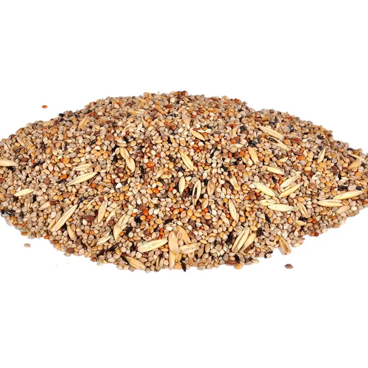 (pack%20of%201%20kg)%20Mix%20bird%20food%20feed%20seed%20for%20small%20budgies%20love%20birds%20%7C%20chirya%20ka%20dana%20%7C%20sparrow%20%20%7C%20bajra%20and%20sunflower%20seeds%20mix%20%7C%20totay%20and%20parrots%20eat%20food%20-%20Image%204